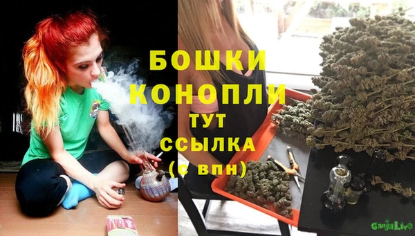 альфа пвп Нязепетровск