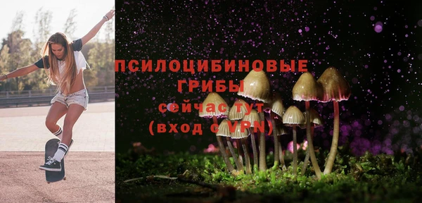 СК Липки
