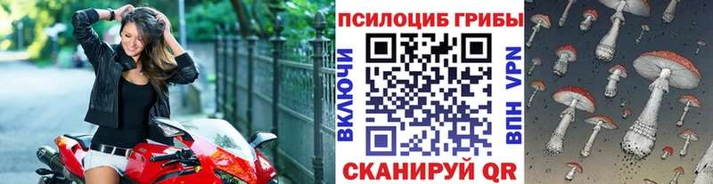 продажа наркотиков  KRAKEN зеркало  Псилоцибиновые грибы GOLDEN TEACHER  Таштагол 